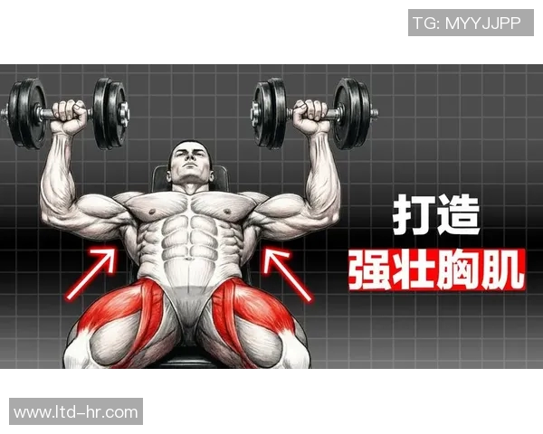 哑铃锻炼胸肌的有效性分析及训练方法推荐