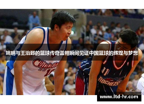 姚明与王治郅的篮球传奇盖帽瞬间见证中国篮球的辉煌与梦想