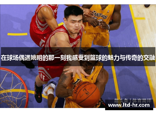 在球场偶遇姚明的那一刻我感受到篮球的魅力与传奇的交融