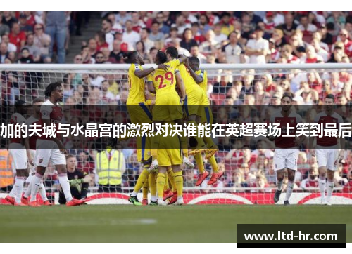 加的夫城与水晶宫的激烈对决谁能在英超赛场上笑到最后